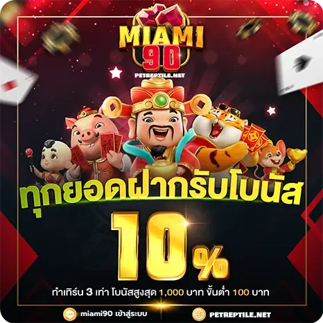 miami90 เข้าสู่ระบบ